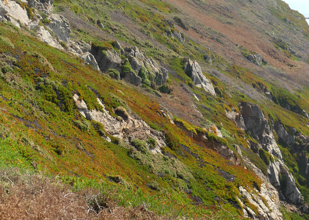 Colours on the cliffs - Les Tielles - 14 Sep 19