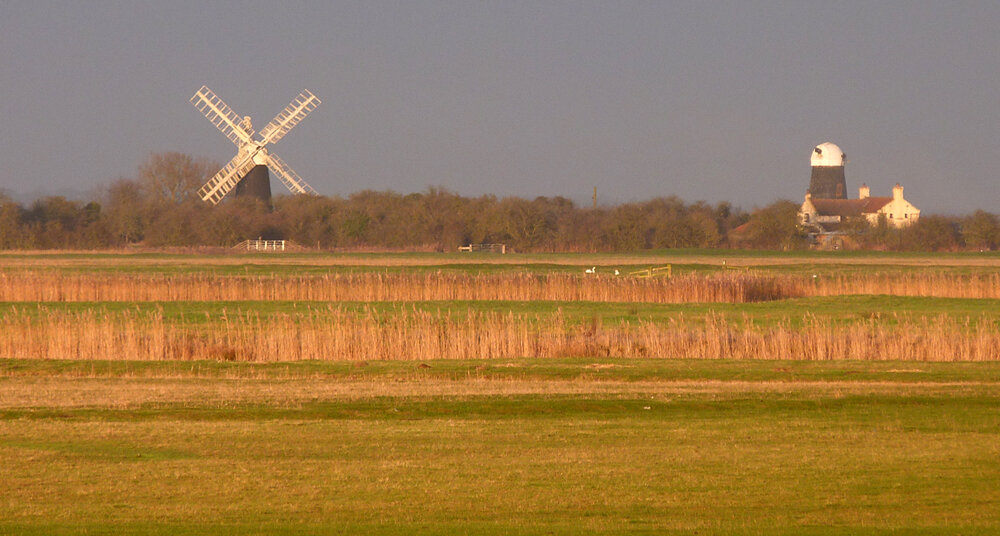 Reedham Nflk 4Feb17 b.jpg