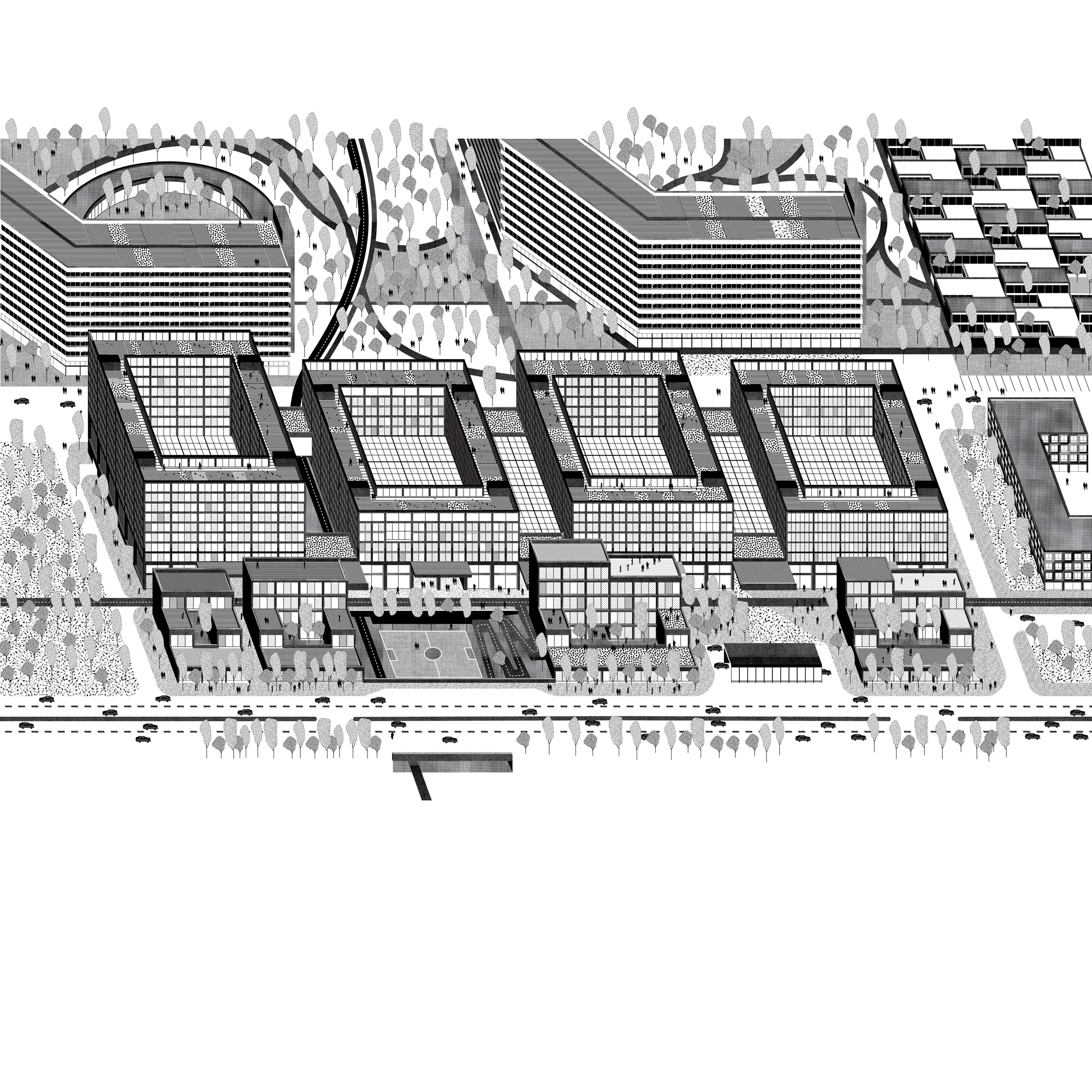 AMS_ELEVATION_3-01-01.jpg