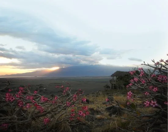view-the-landscape.jpg