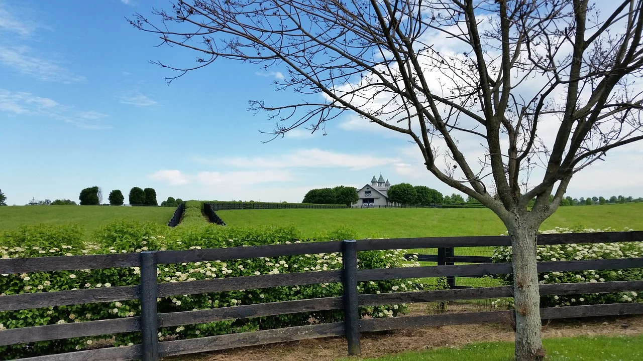 The green fields of Kentucky