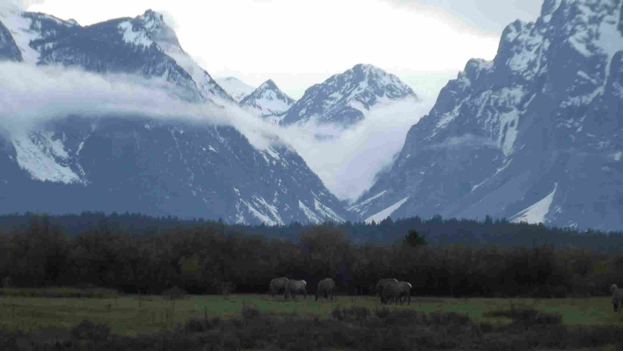 elkgrandteton.jpg