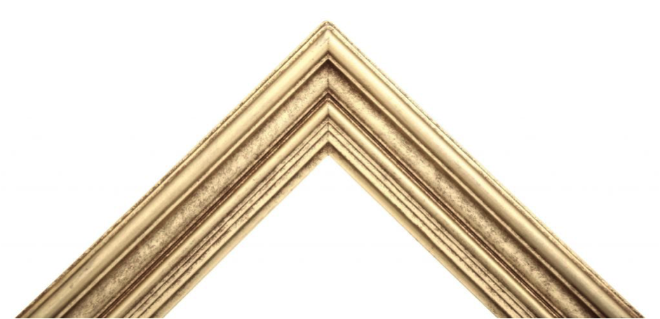 Xander 14
