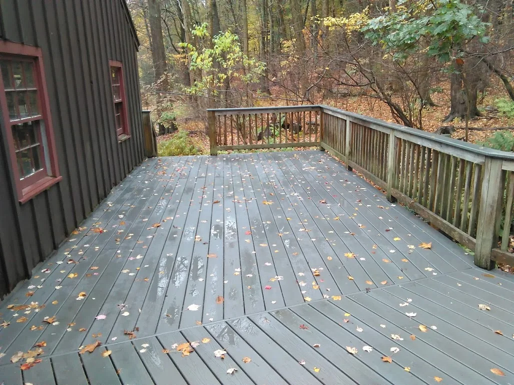 Deck 1.0.jpg