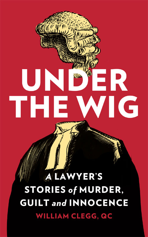 under-the-wig.jpg