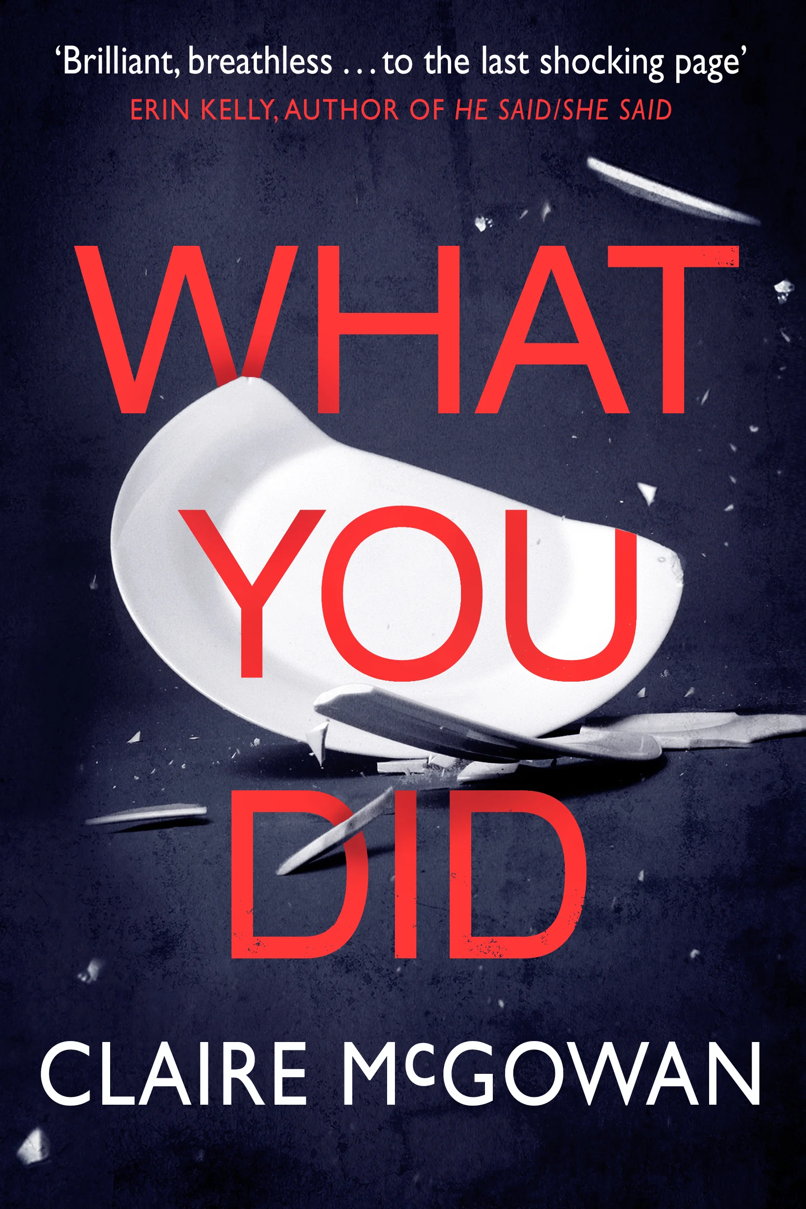 What You Did - jacket image.jpg
