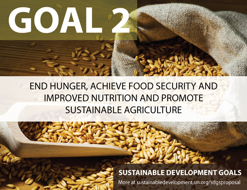 SDG-Goal-2-hunger.jpg