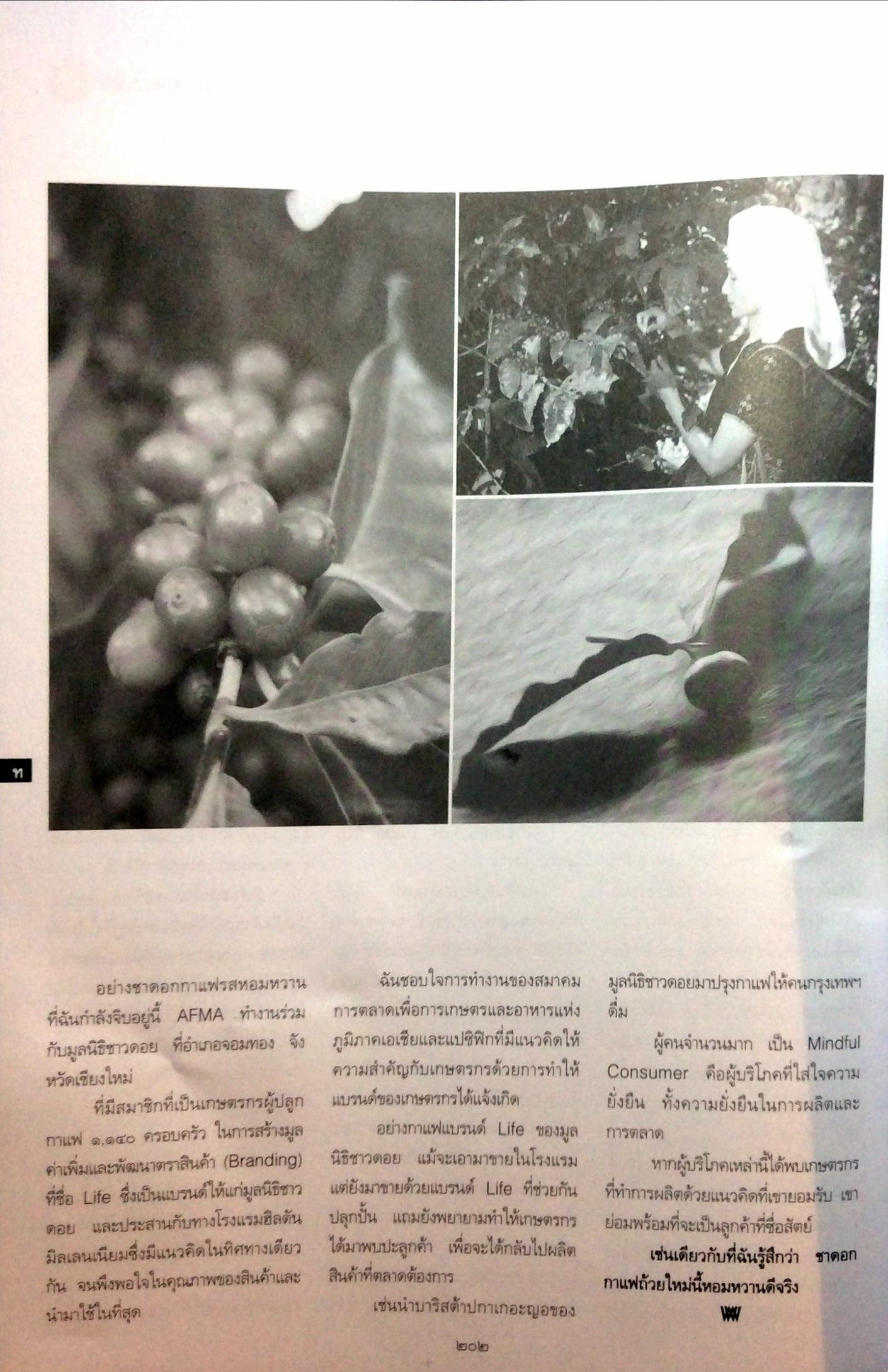 Afma ploygampet magazine page 3.jpg