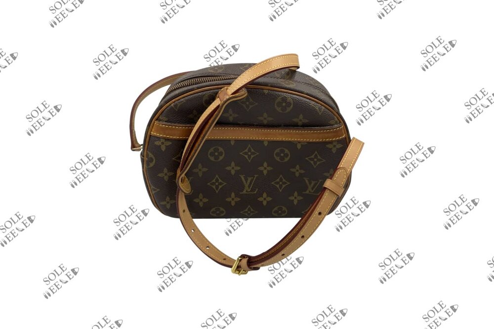 Louis Vuitton Handbag Zipper Replacement — SoleHeeled