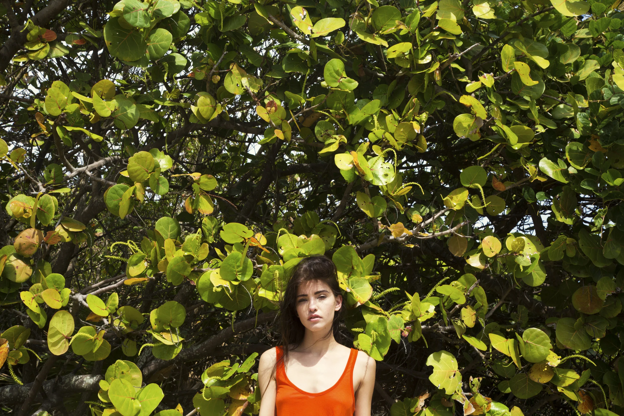 AJ8B1234-edit.jpg