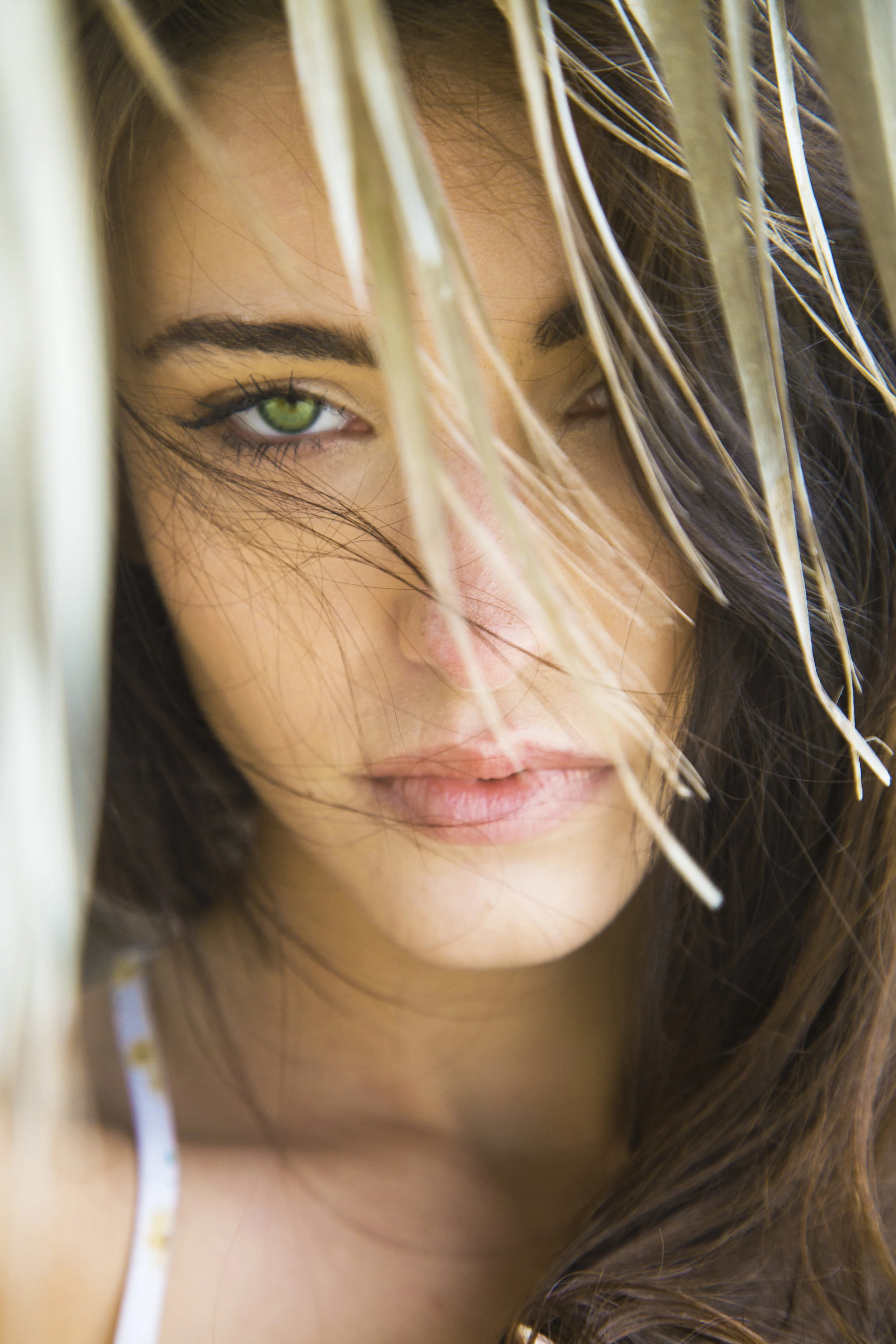 AJ8B1570-edit.jpg