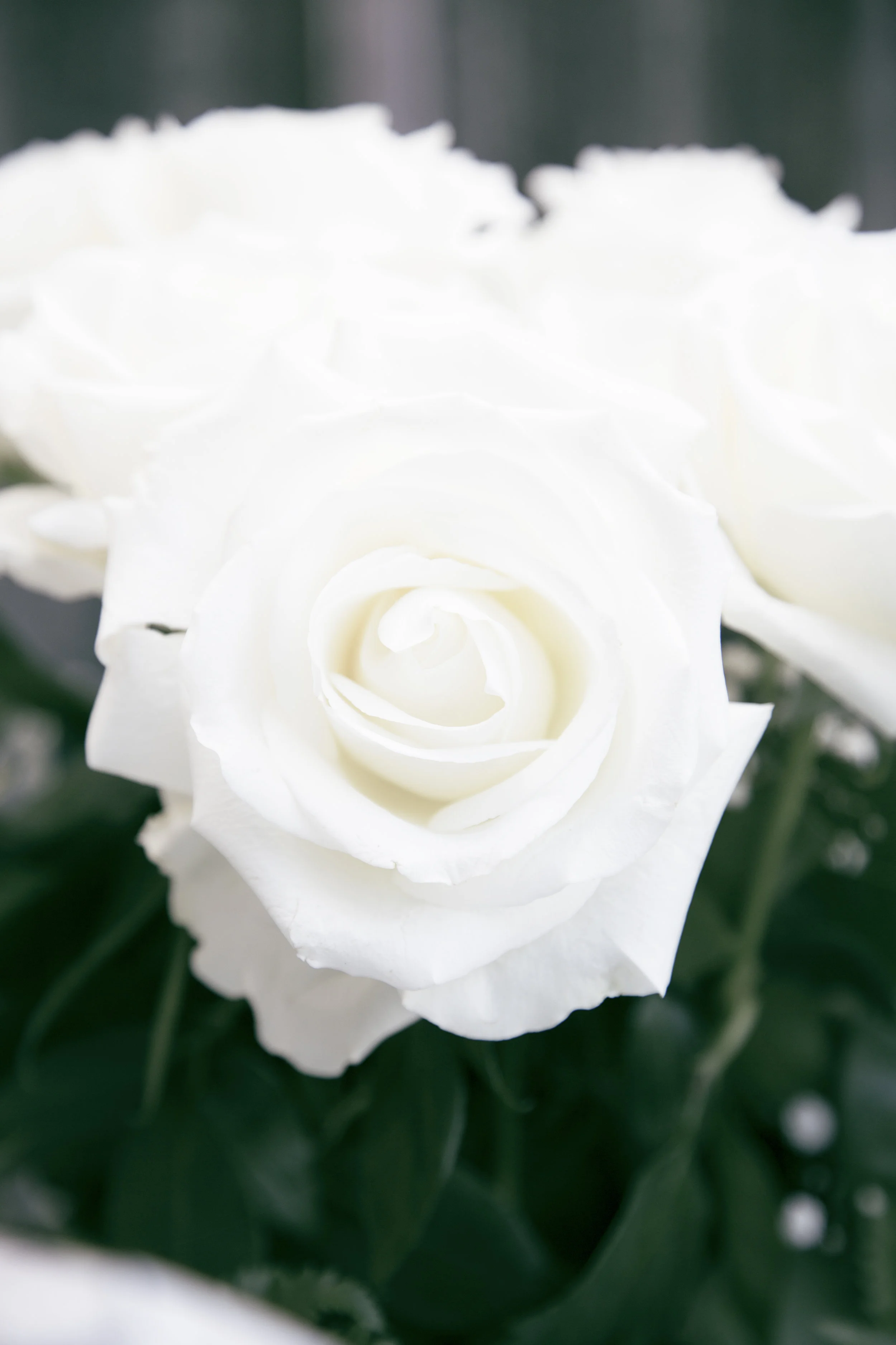 AJ8B3429-edit.jpg