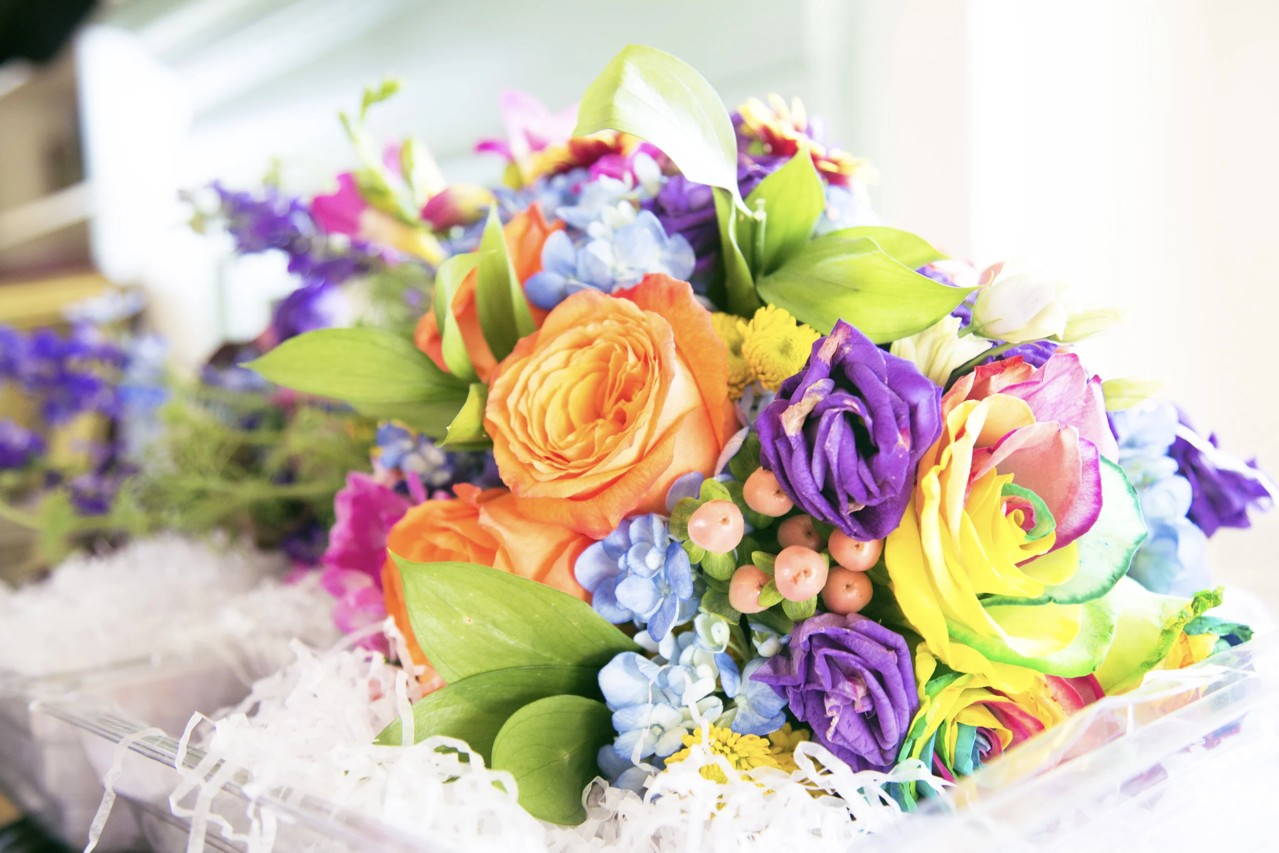 AJ8B8520-edit.jpg