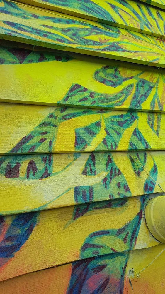 FRENTE DETALLE 1.jpg