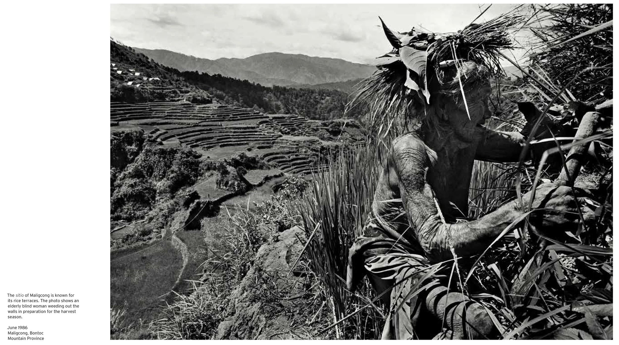 1024-tribes_b-10.jpg