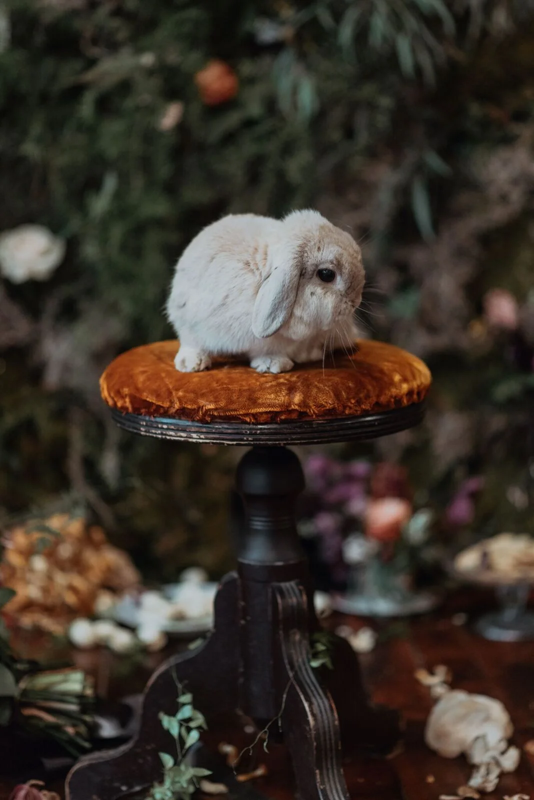 Alice_In_Wonderland-129_preview.jpeg