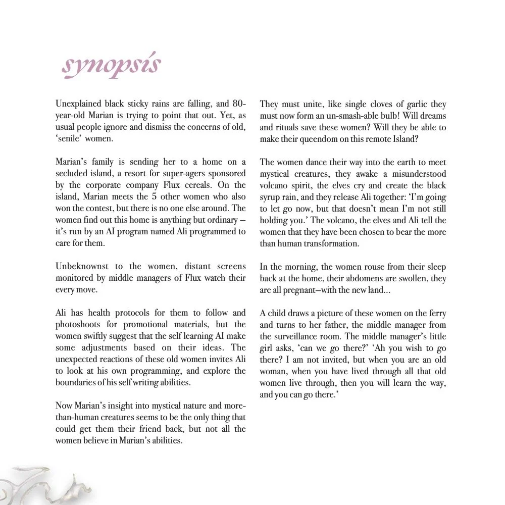 EyjaPaejaPitchdeckMay2025_compressed (1)3.jpg