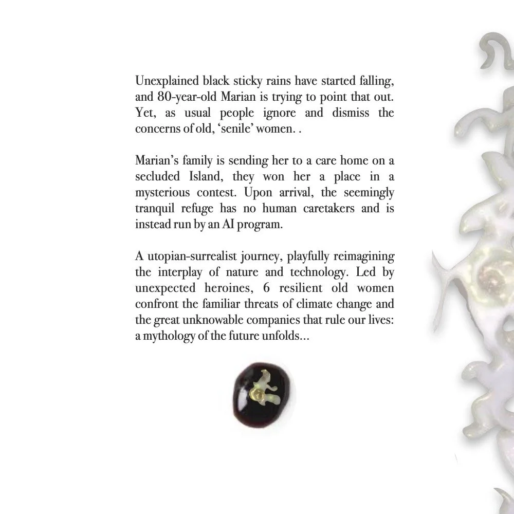 EyjaPaejaPitchdeckMay2025_compressed (1)4.jpg