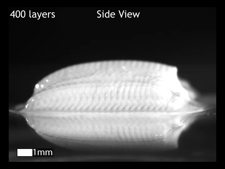 Side view: 400 layers, 3D inkjet printed calcium alginate hydrogel