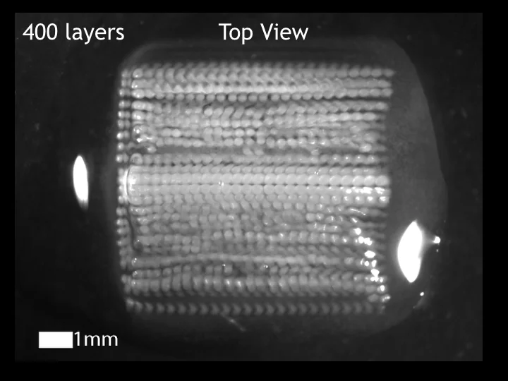 Top view: 400 layers, 3D inkjet printed calcium alginate hydrogel