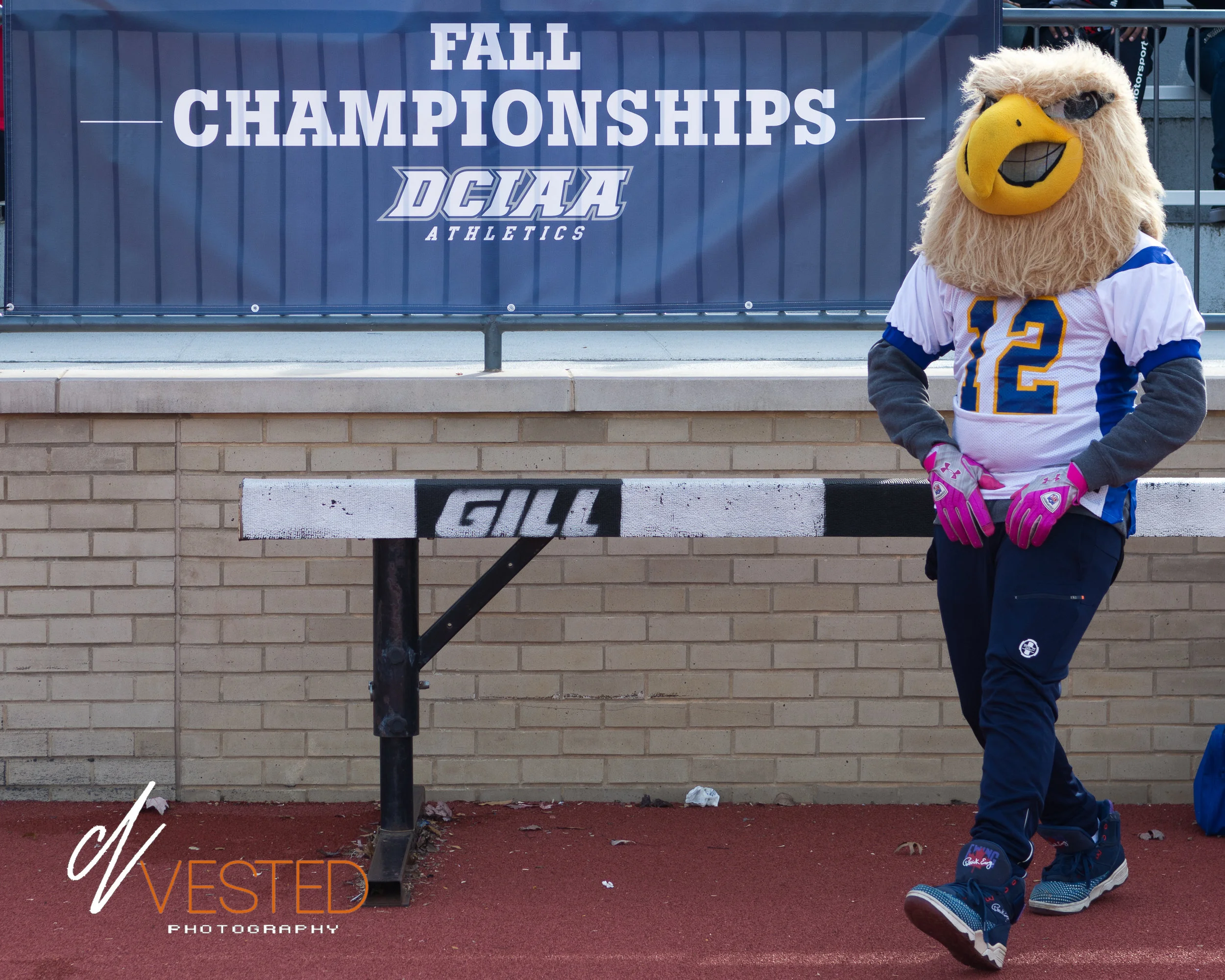 DCIAA Gravy Bowl Championship (11/18/2017)