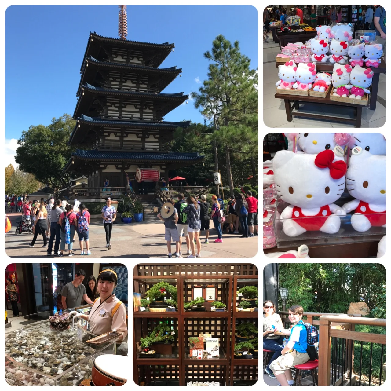 On our way to Japan... and finding your pearl in an oyster!!! Yes, success!!! Next, a remembrance of Katz, our family gardner who is a Bonsai Master! A quick wave to Hello Kitty and it's lunch time... that means, time for sushi!&nbsp;&nbsp;
