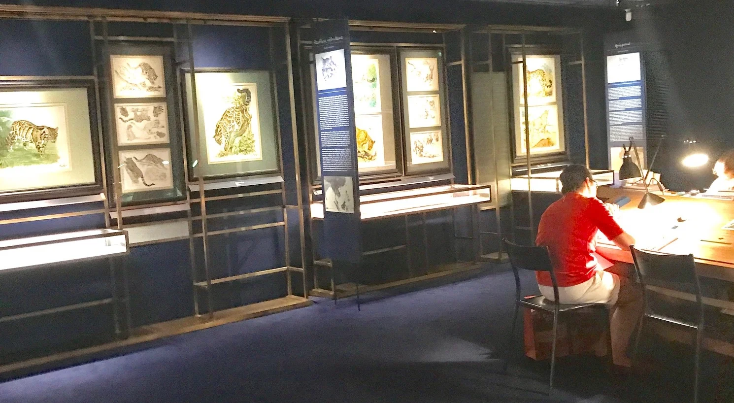 The exhibit at Hèrmes in Paris, featuring the artwork of Robert Dallet used in various Hermès items.