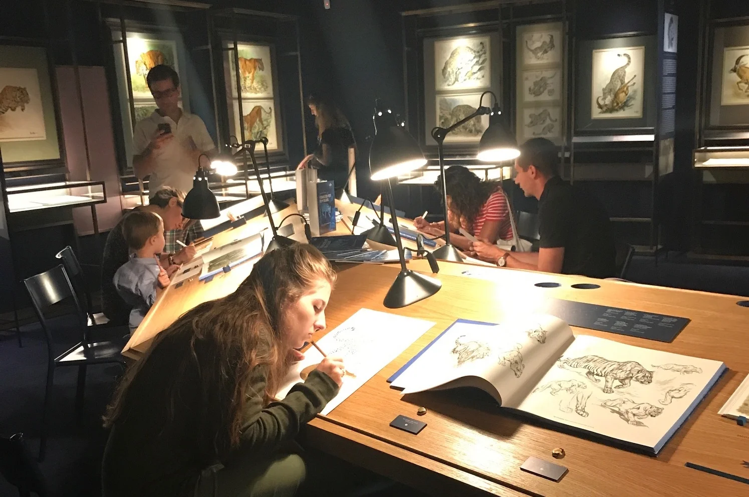 Experience first hand the complexities of these illustrations!