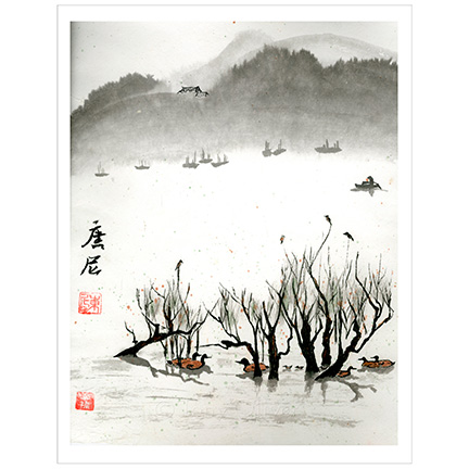 Ducks and Boats