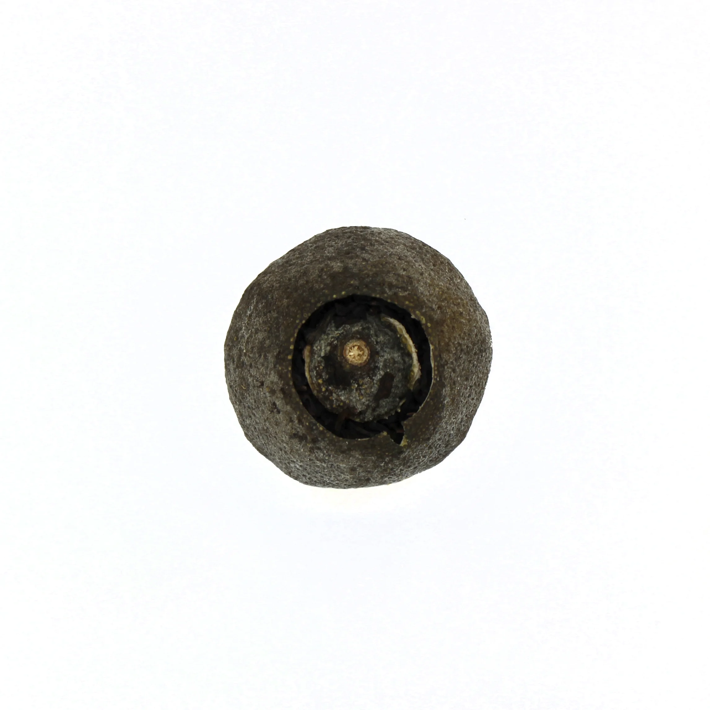 Green Tangerine Pu-erh tea unwrapped