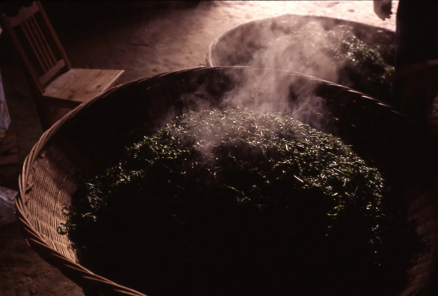 Anhui Yellow tea drying