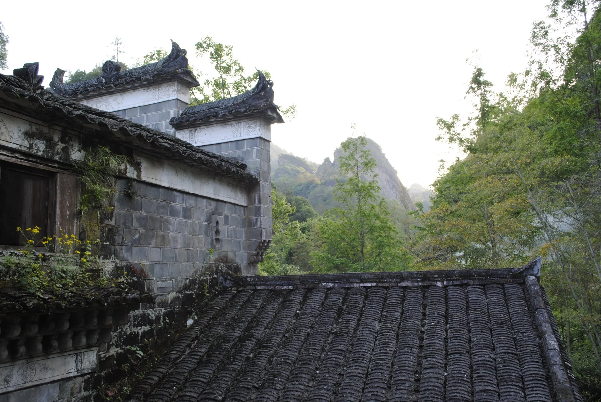 Tongmu_Wuyi.jpg