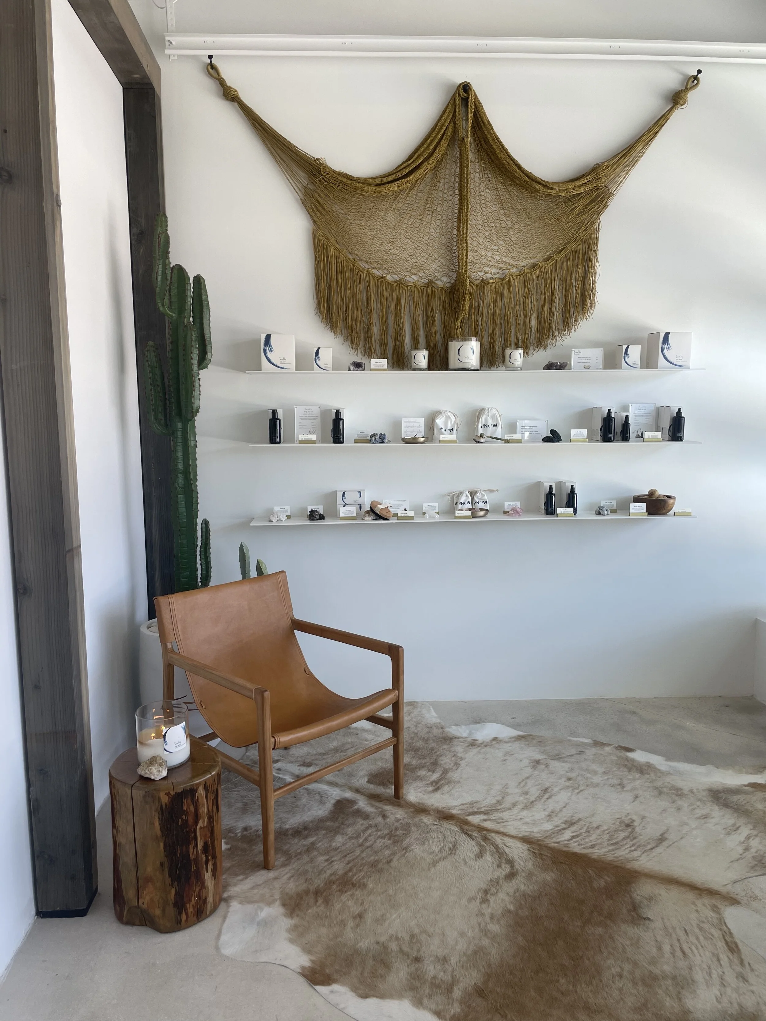 What's New | October 2021