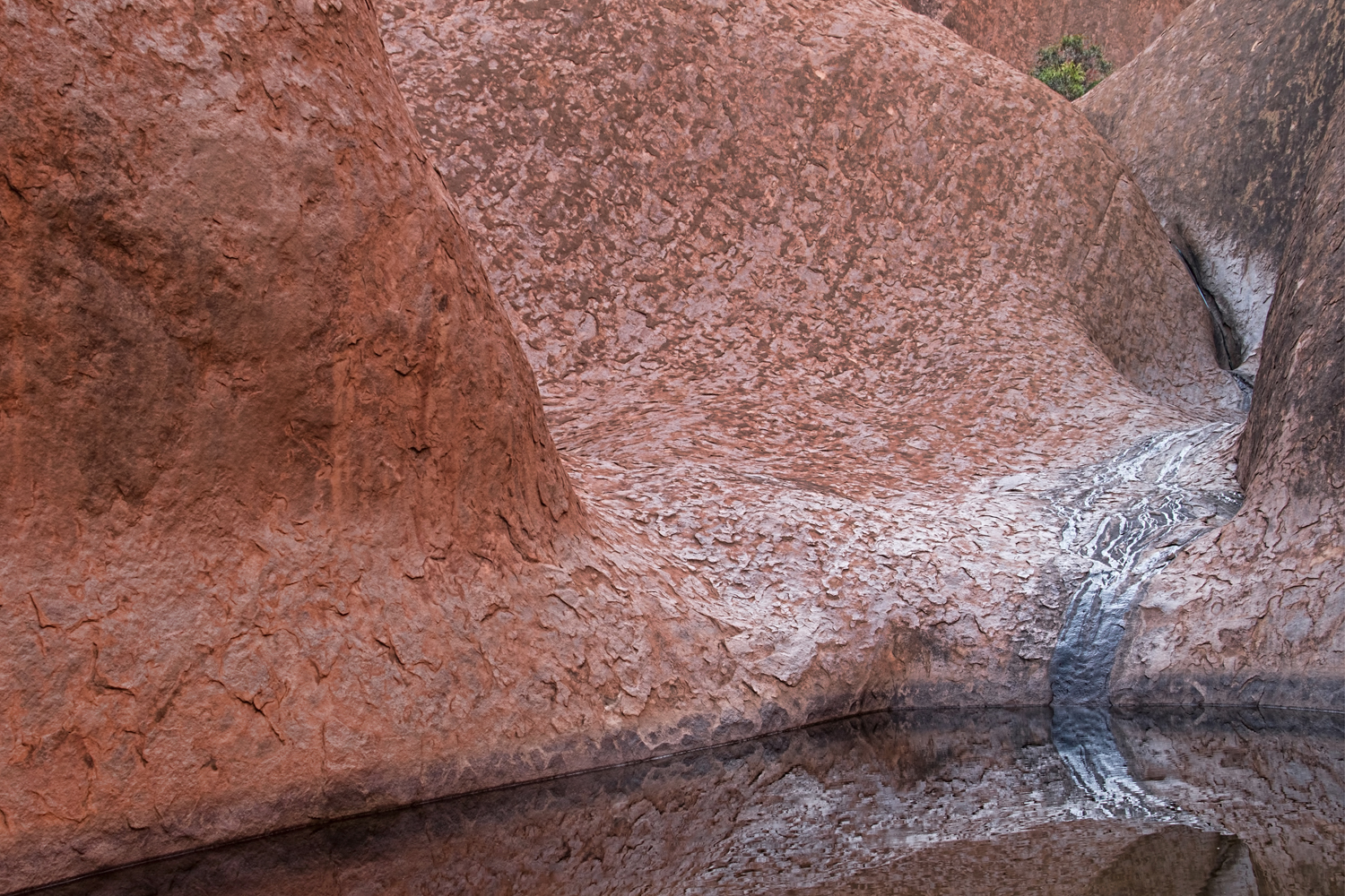 Waterhole at Uluru