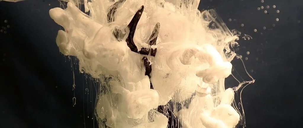 2016-05-21 13.10.12.JPG