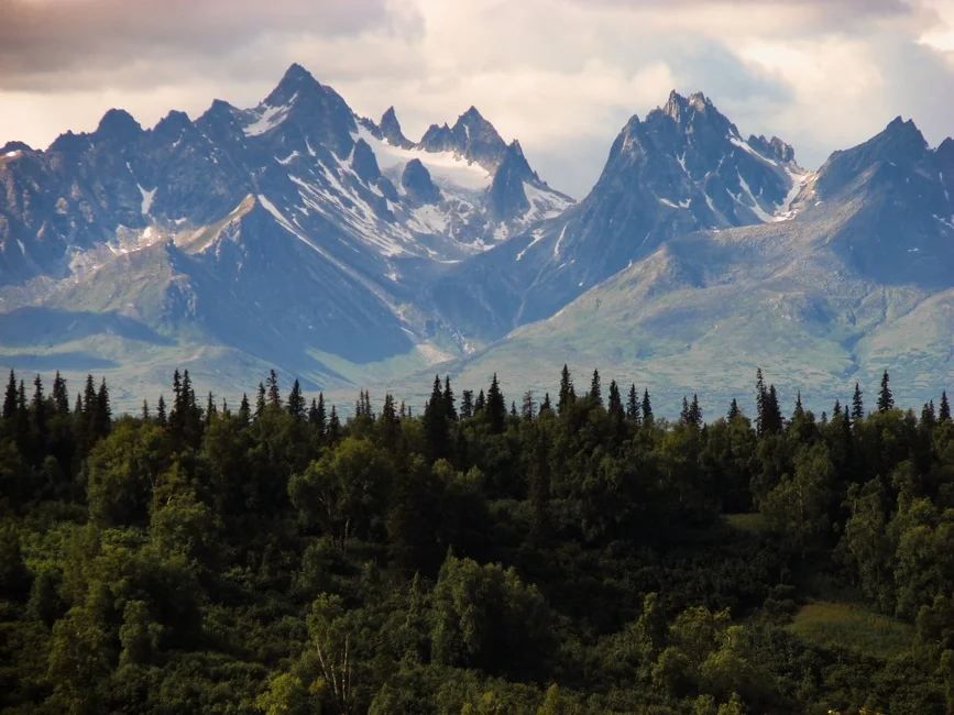 wood-landscape-mountains-nature-large.jpg