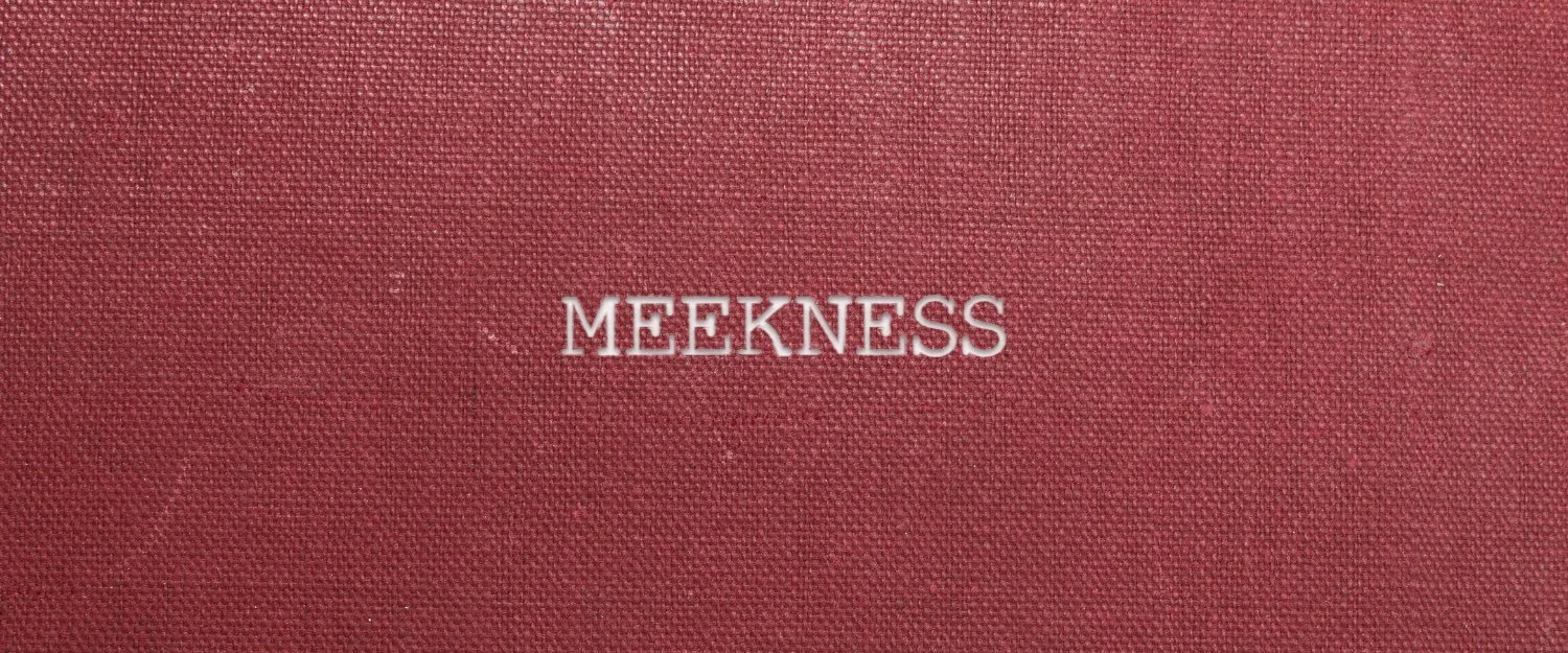 Quest for Meekness