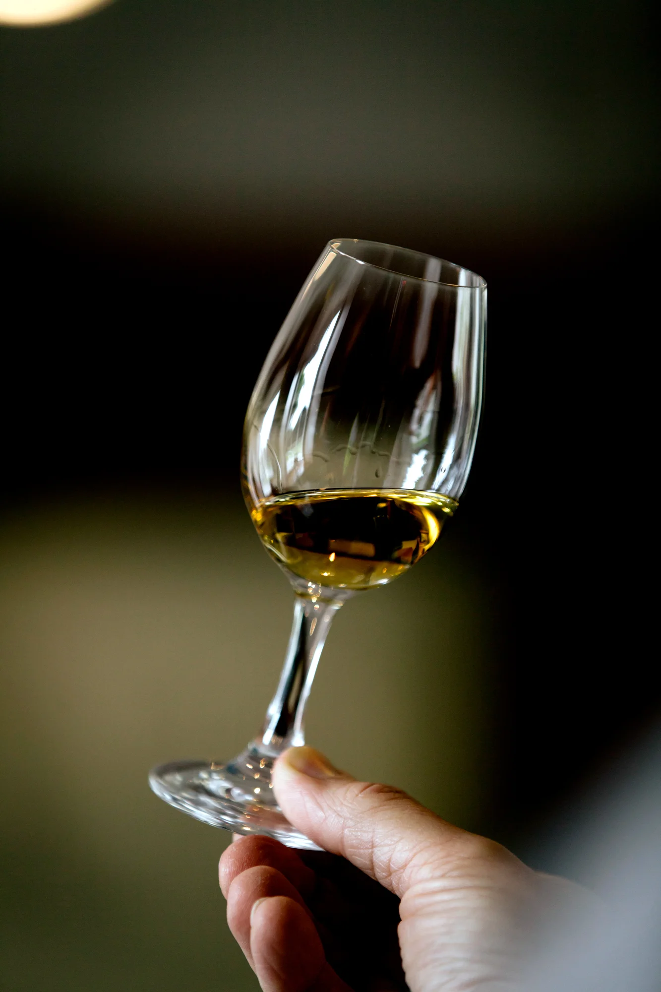 Jameson_Cara-18.jpg