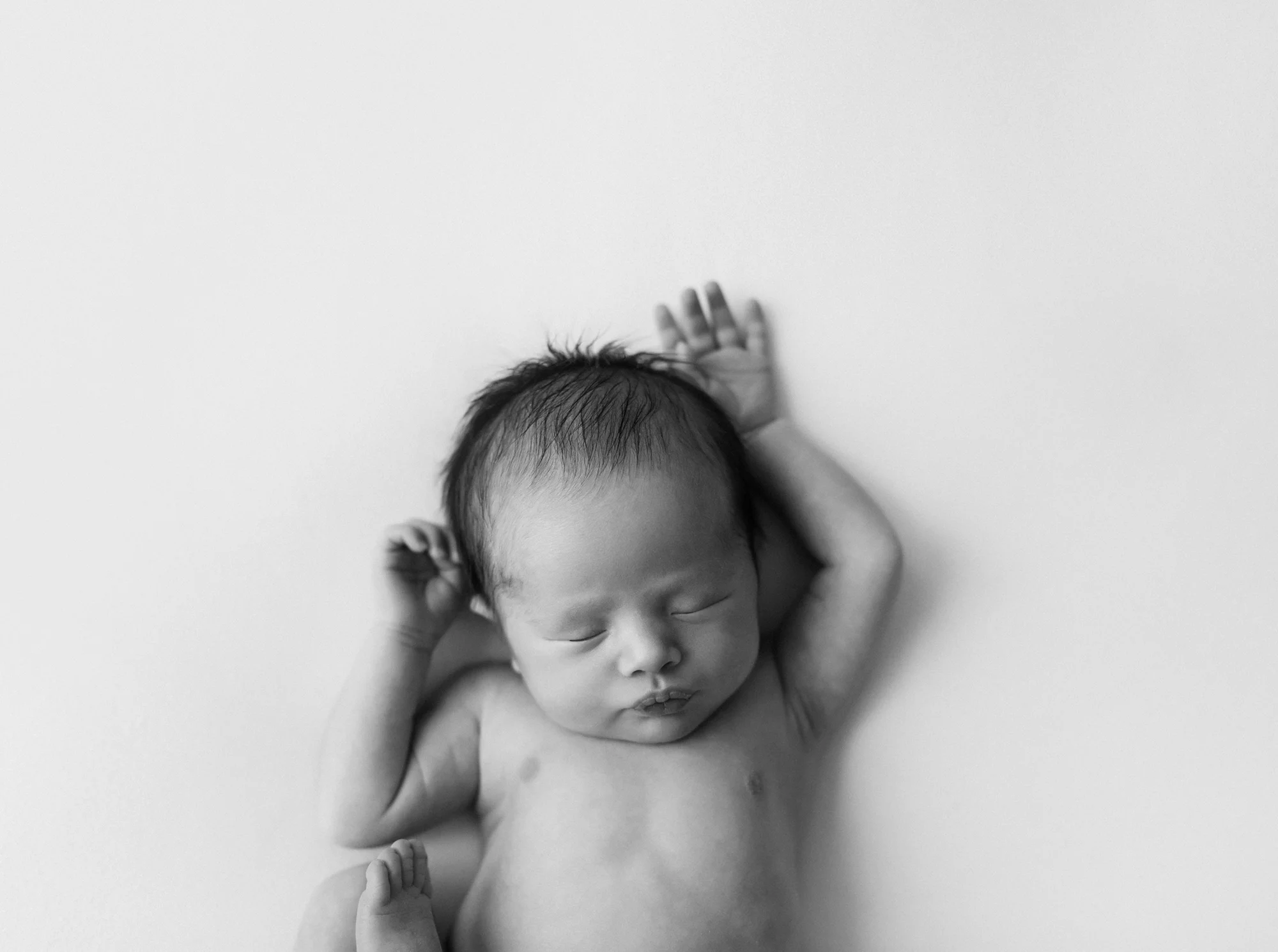 2H3A9453-2 resized.jpg