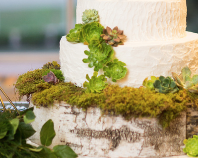 Custom birch cake base with moss & succulents I www.avenueievents.com.png
