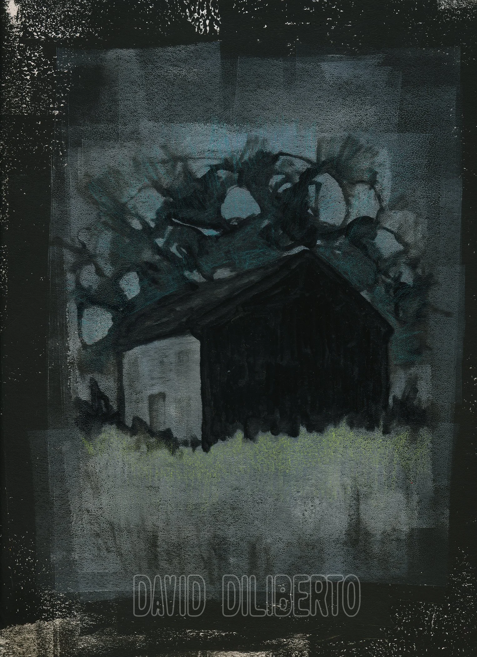 DSH001-cc.jpg