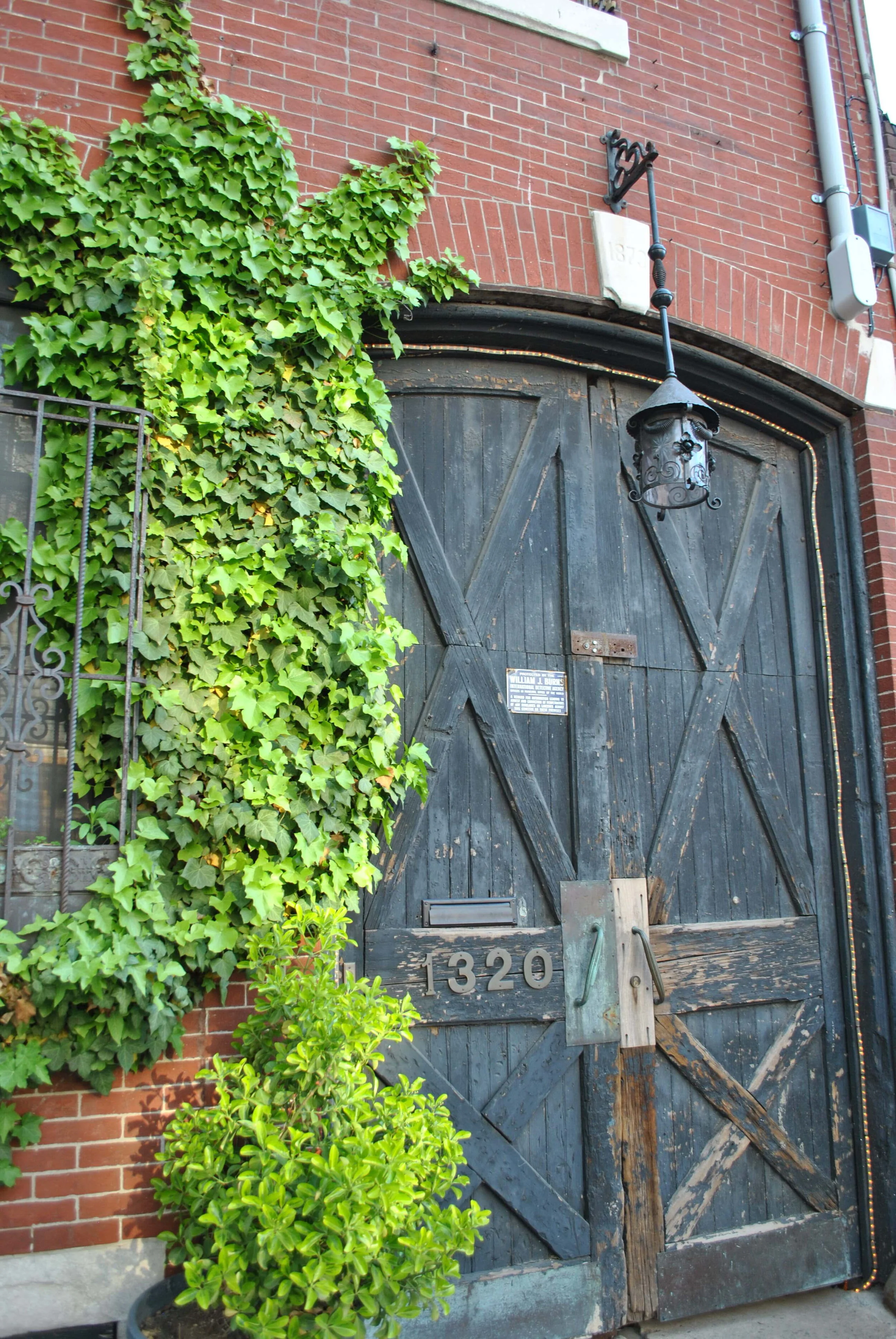 DSC_0643.JPG