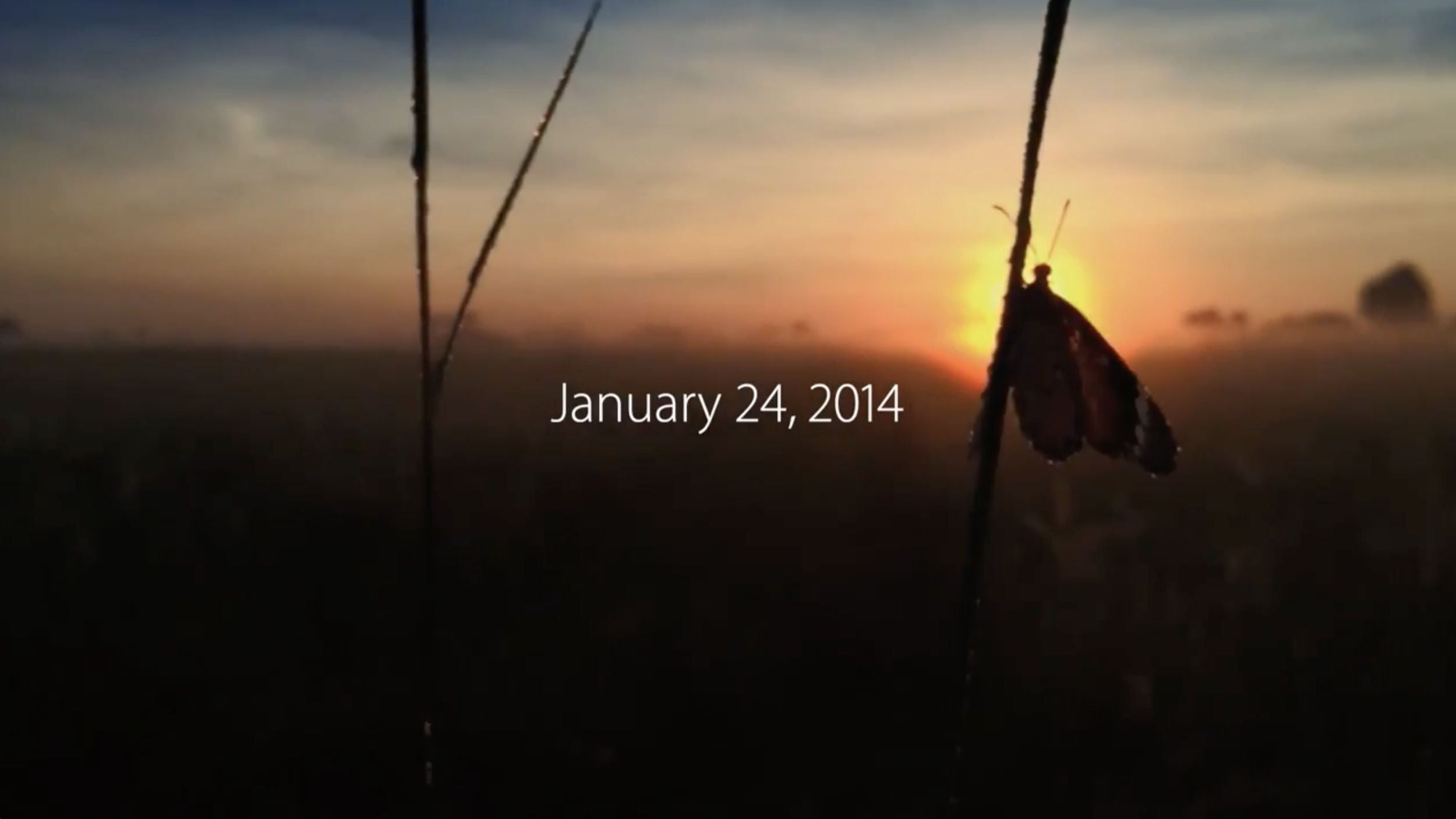 Apple — 1.24.14