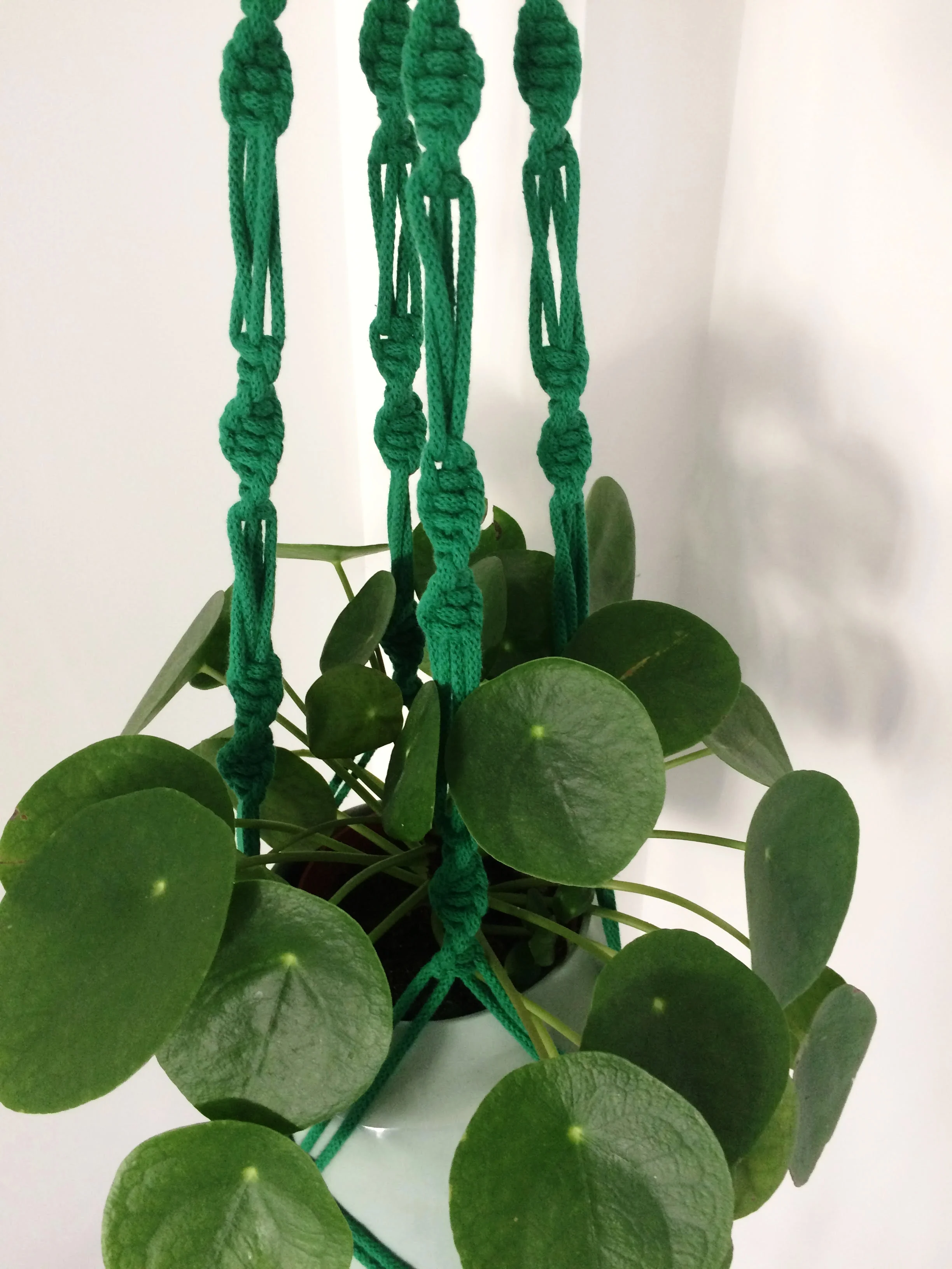 emerald 3.jpg