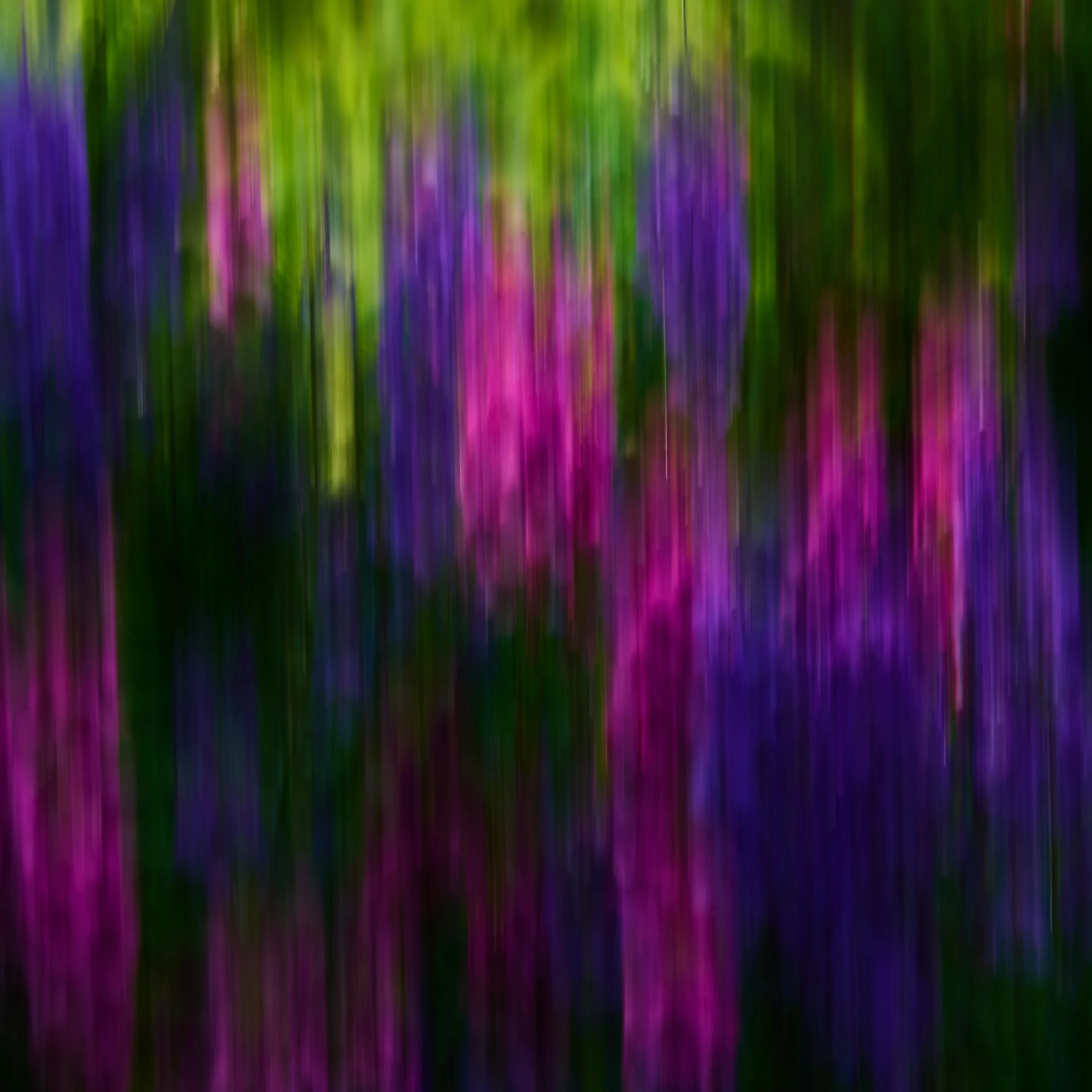 6385.jpg