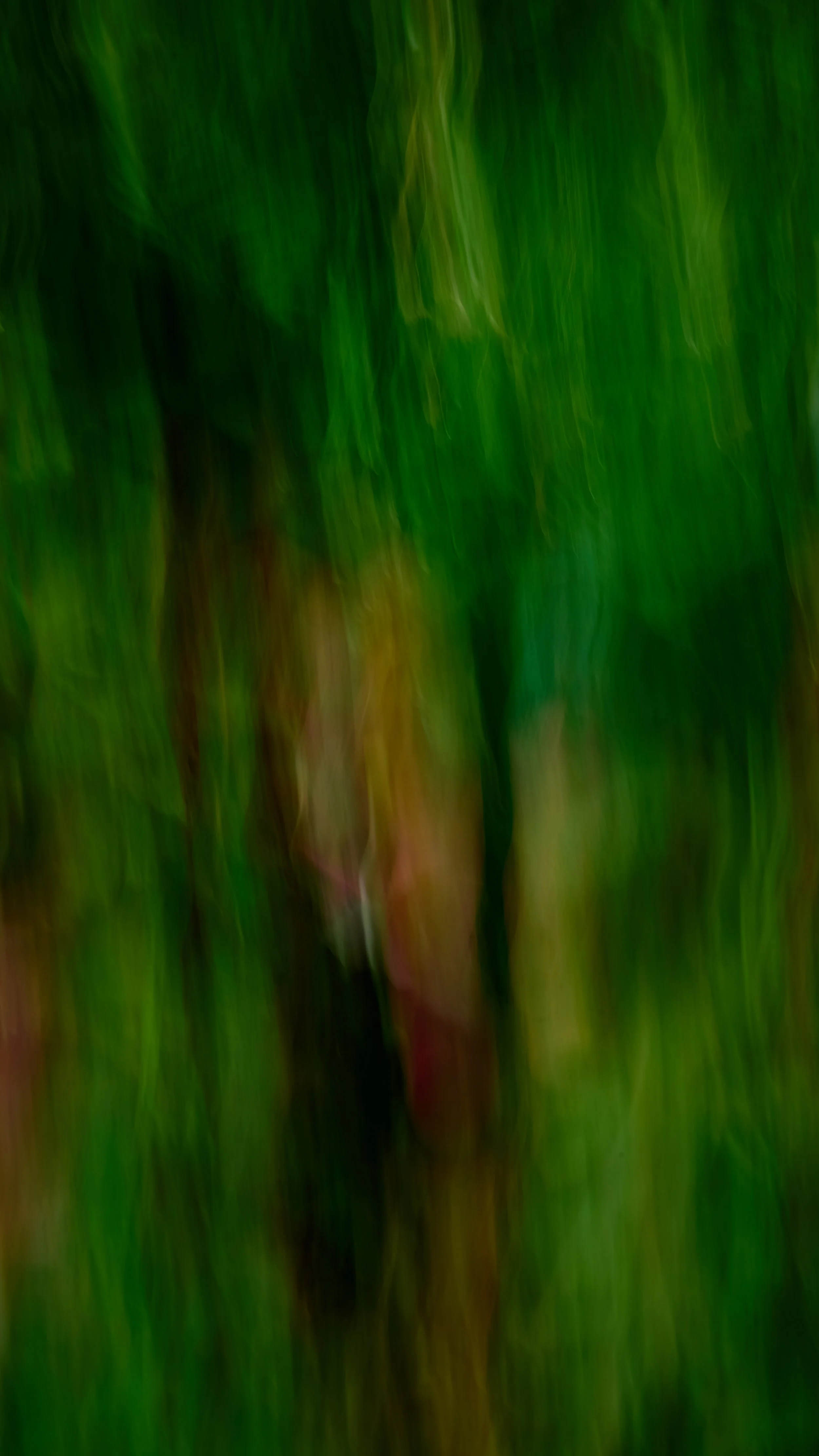 8892.jpg