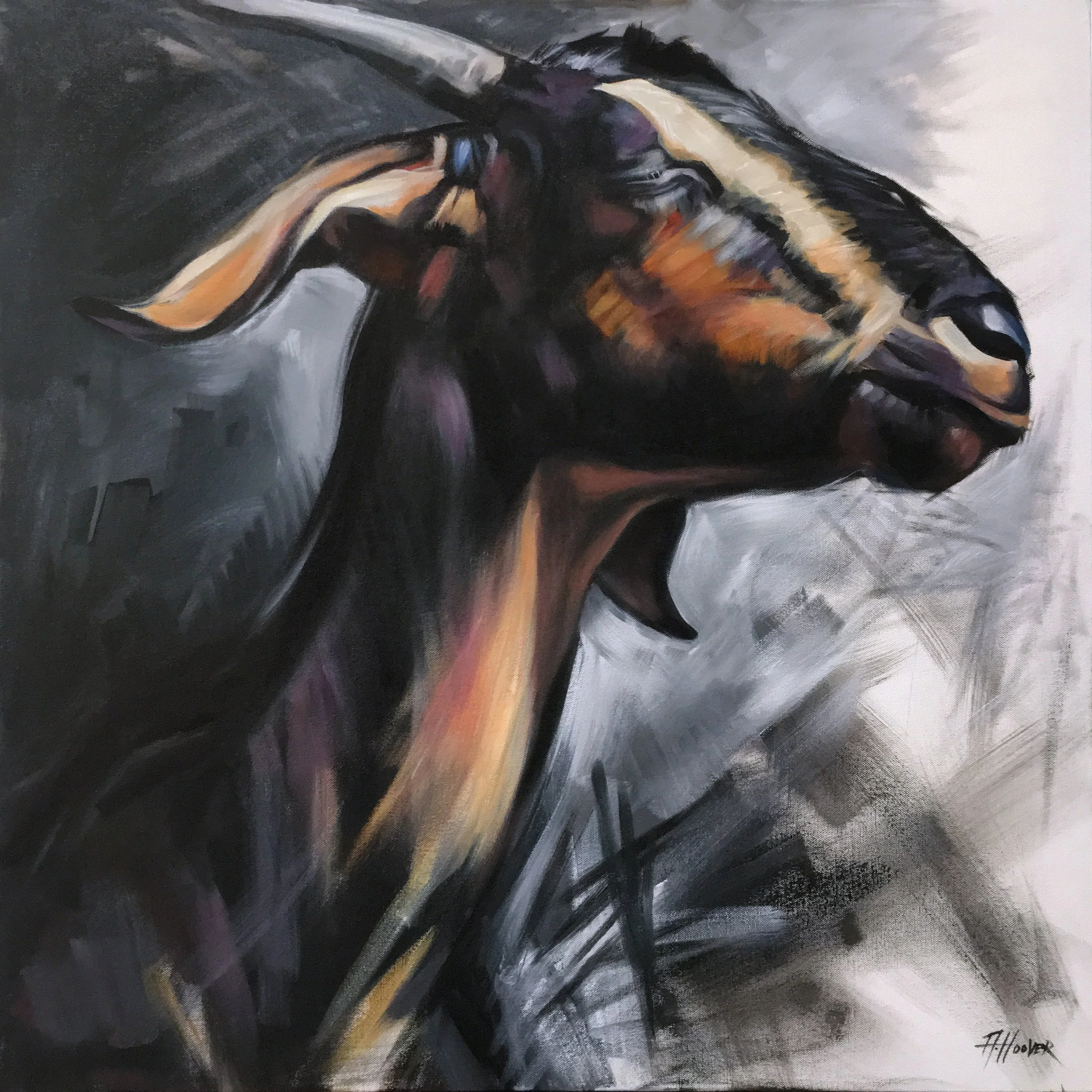 murdock2 2022 goat aimee hoover copy.jpg (Copy)