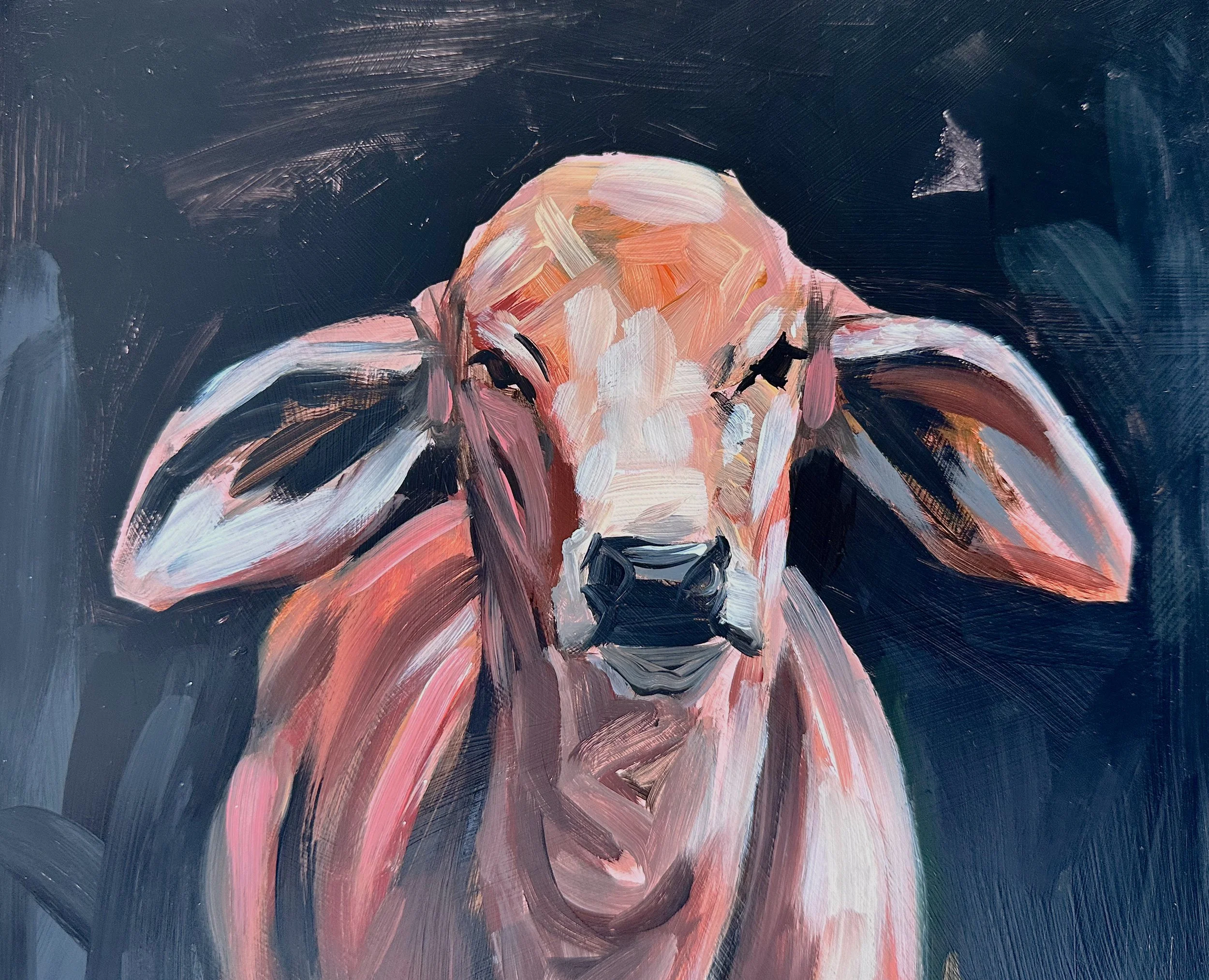 Hoover Brahman Calf Study 9x12 Acylic on Mylar Face Detail.jpg (Copy)