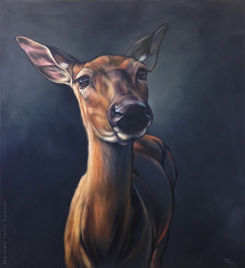 blog_doe_800px-copy1.jpg