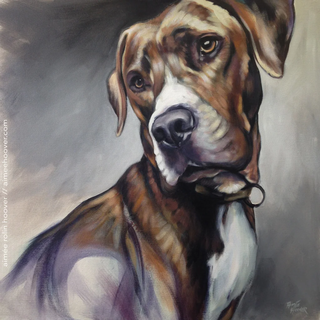 boozer_final_iphone-1024x1024.jpg